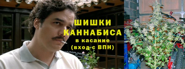 эйфоретик Белокуриха