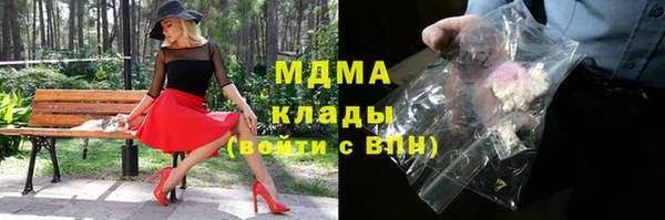 spice Богородск