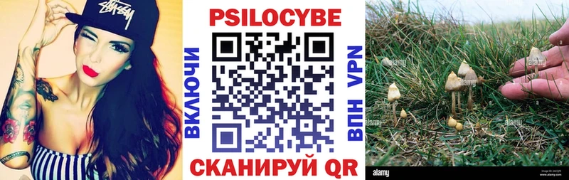 Галлюциногенные грибы Cubensis  Кодинск 