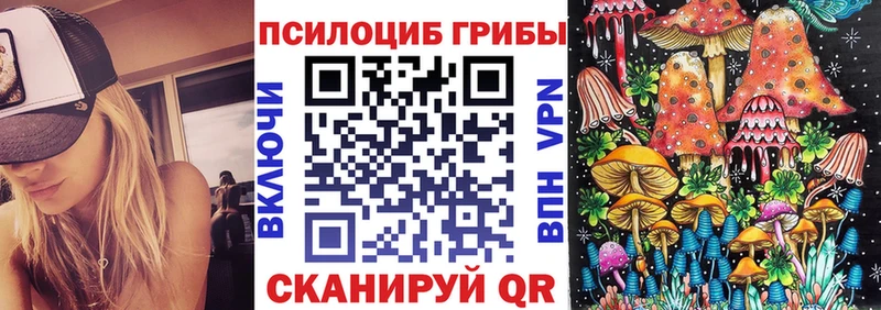 Псилоцибиновые грибы Cubensis Кодинск